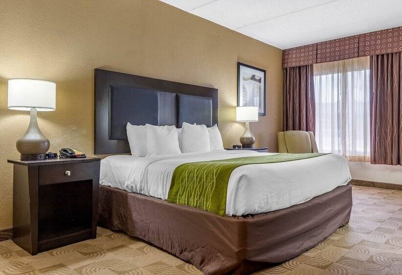 هتل Comfort Inn Warner Robins   Robins Air Force Base Area
