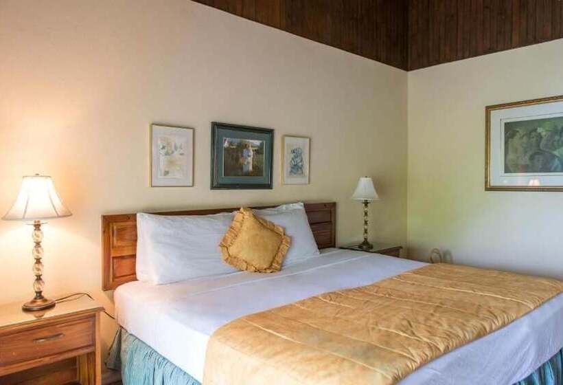 צימר Mansfield House