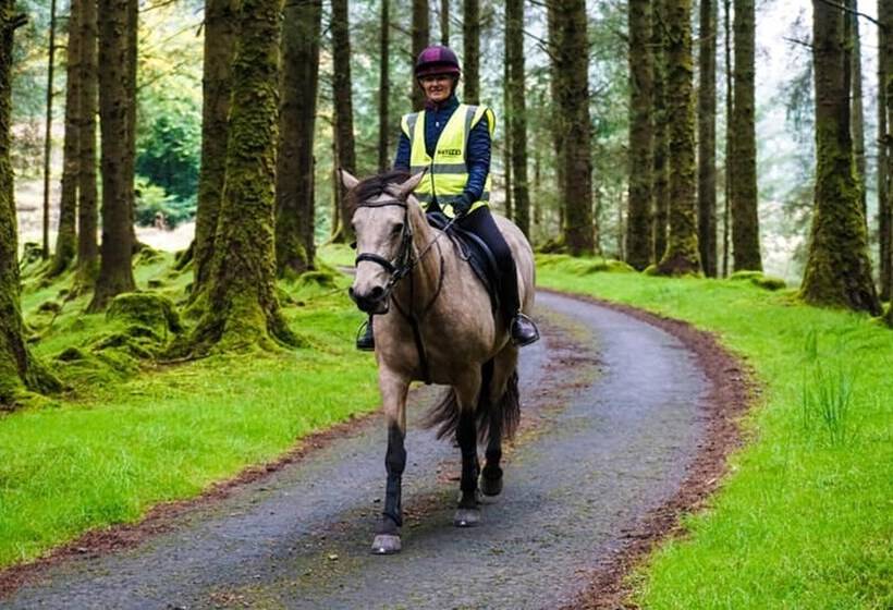 호텔 Forester S Retreat Glamping   Dinas View