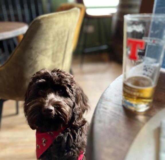 فندق The Kenmuir Arms