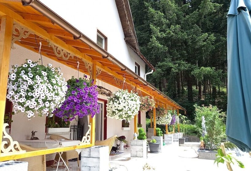 هتل Waldpension Pfeiferhaus
