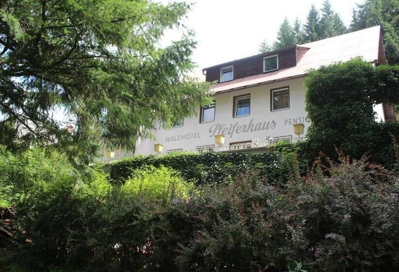 هتل Waldpension Pfeiferhaus