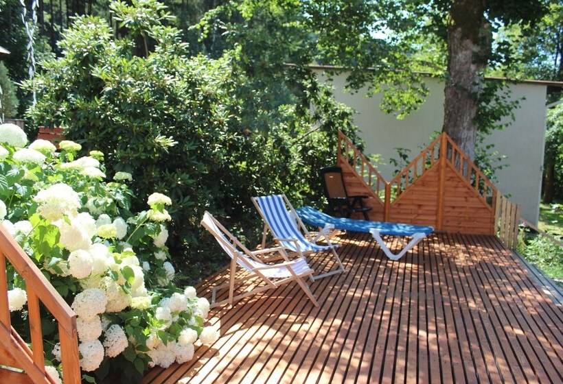 هتل Waldpension Pfeiferhaus