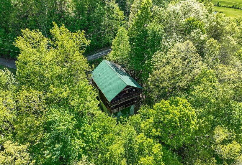 Only Dreamin  Cabin W/ Private Hot Tub