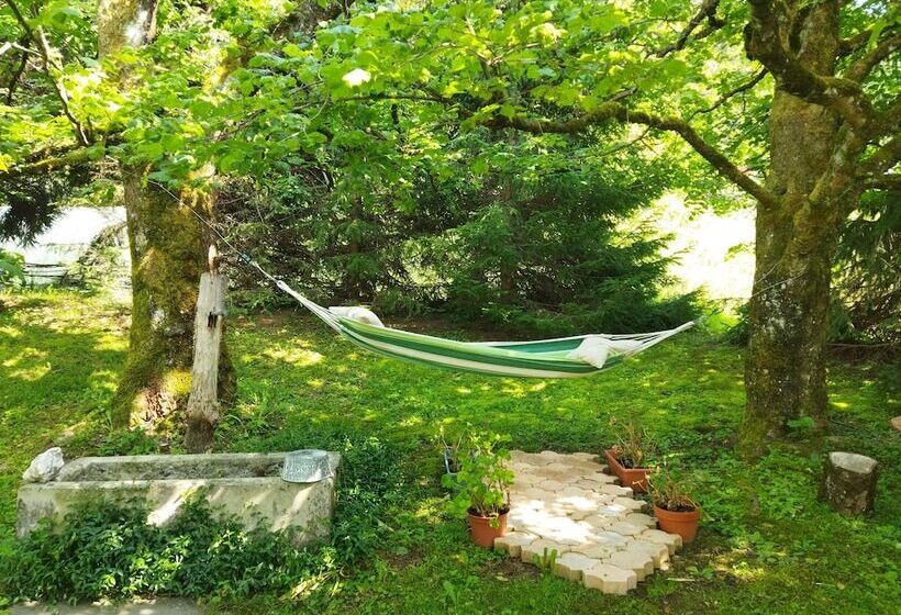 بنسيون Nomad Alp B&b