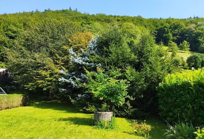 بنسيون Nomad Alp B&b