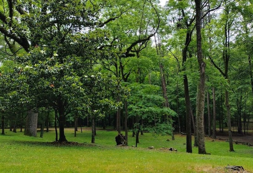 Bean Creek Cabins