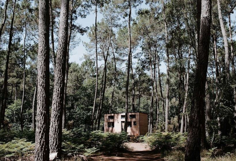 호텔 Tiny Stay Ecolodge