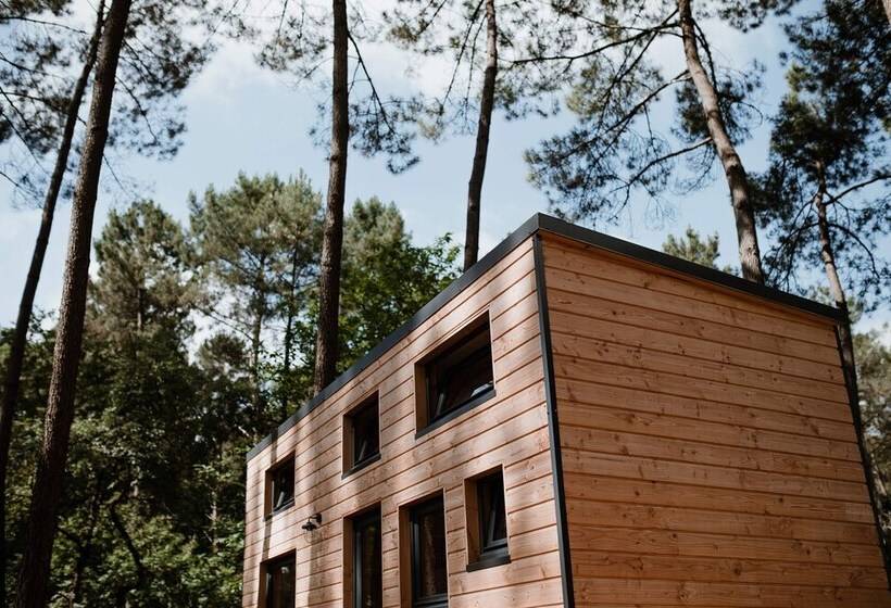 호텔 Tiny Stay Ecolodge