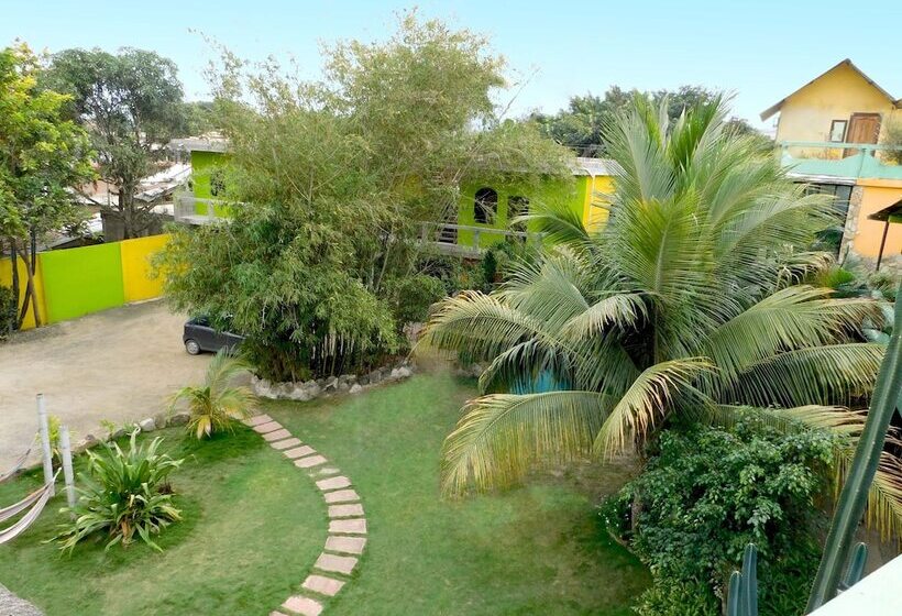 هاستل Hostal Maxima