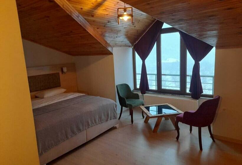 مبيت وإفطار Zeynep Ruya Hatun Otel