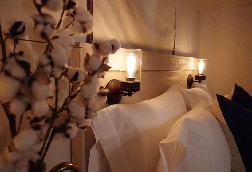 Отель Black Tree Resort   The Lodge