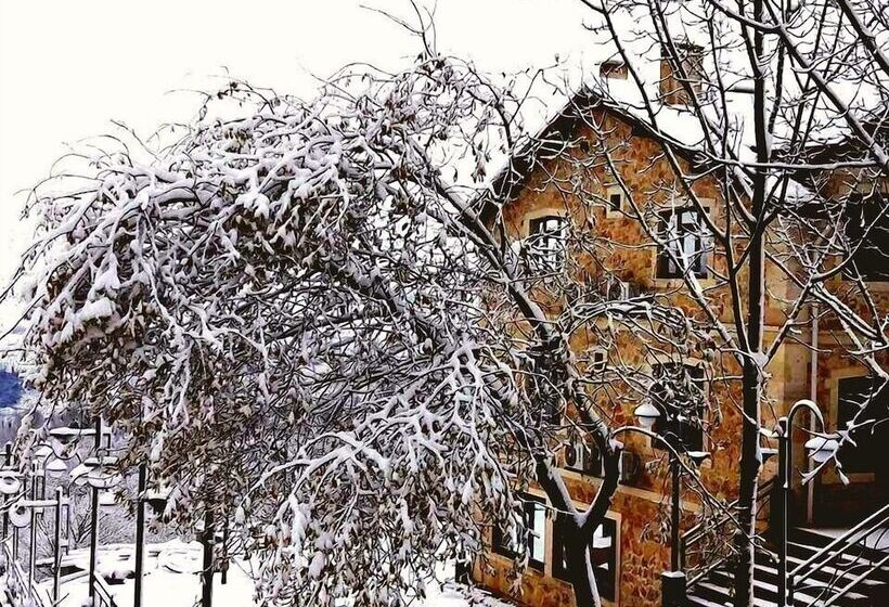 ホテル Hayat Oksijen Resort