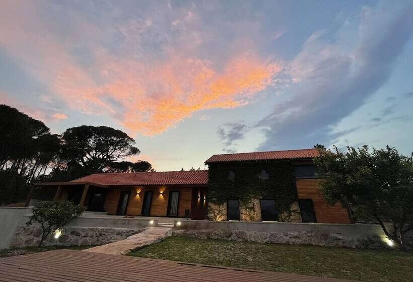 فندق ريفى Casas Do Pinheiro Grande