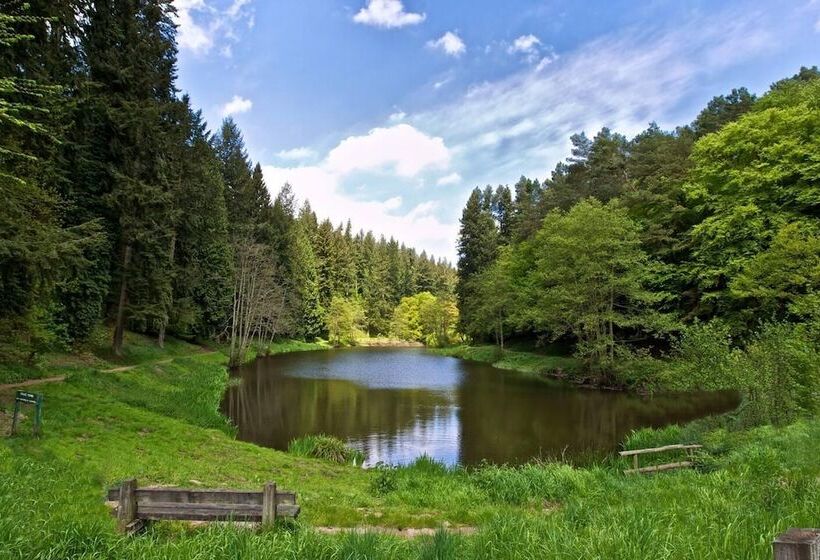 إقامة The Forest Coach House   Minutes From The Forest