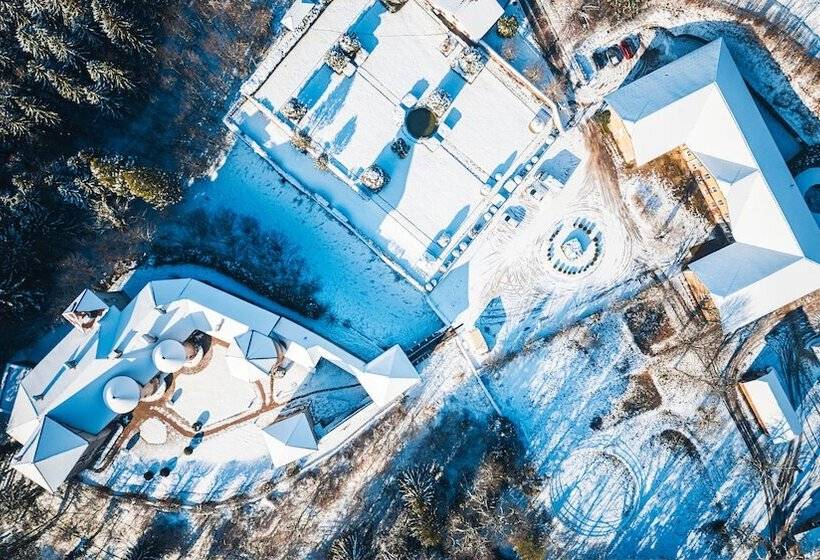 בית מלון כפרי Château De Thorens