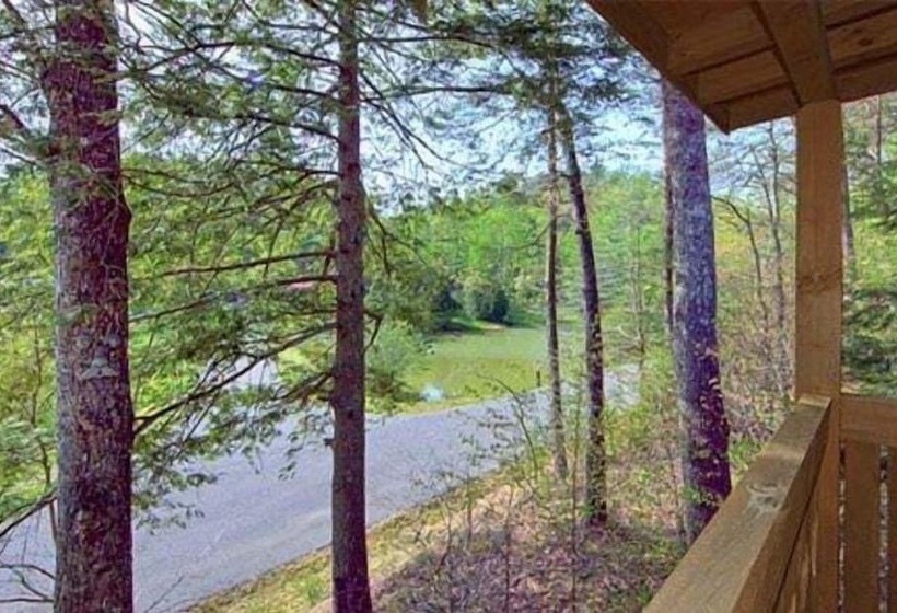 Snoozers Hollow