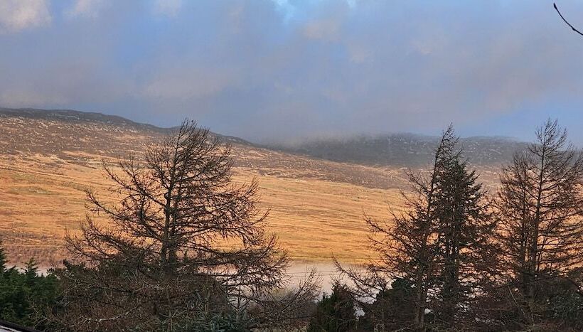 Snowdonia National Park Log Cabin With Garden