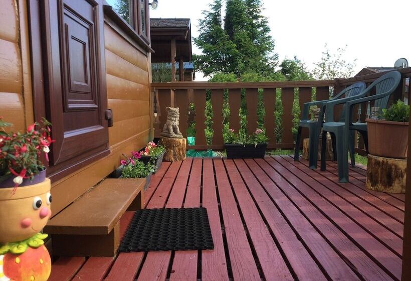 Snowdonia National Park Log Cabin With Garden