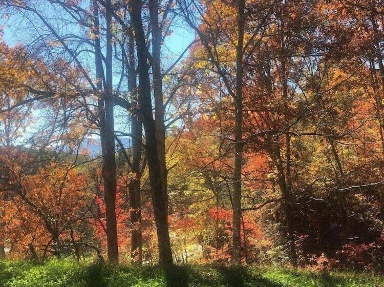 South Side Serenity