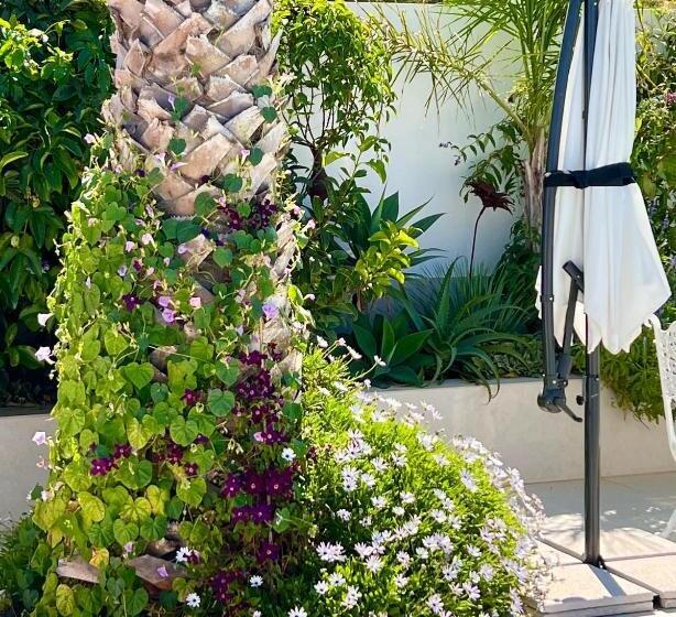 مبيت وإفطار Palm View Guesthouse, Adults Only