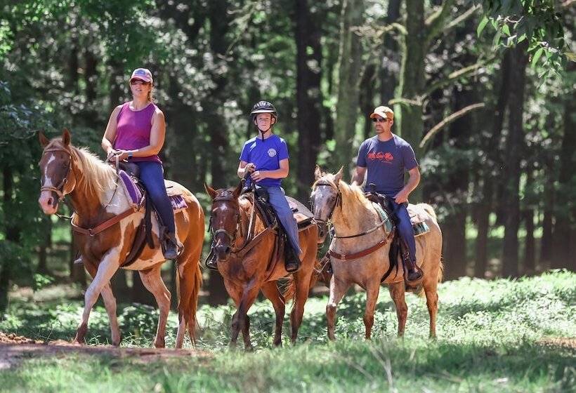 مبيت وإفطار Southern Cross Guest Ranch