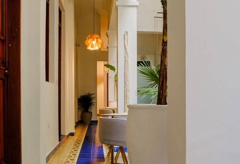 Casa Rosa   Alma Hotels