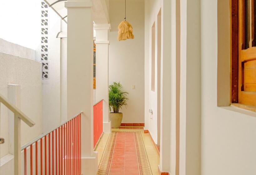 Casa Rosa   Alma Hotels