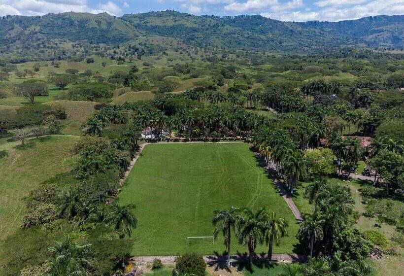 هتل Campestre El Danubio