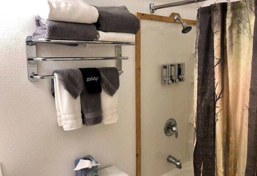 هتل Lodge Suites