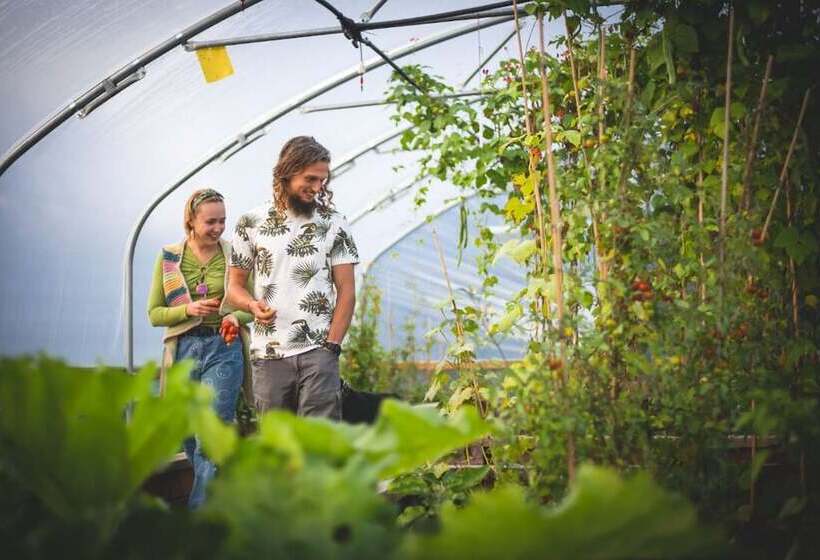 منتجع Zen Jungle Retreat