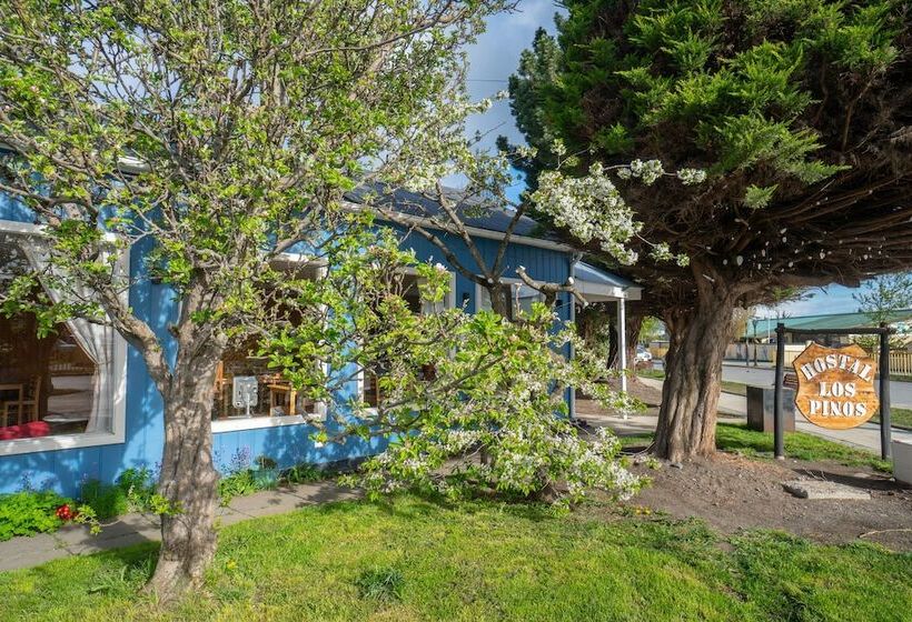 فندق صغير Hostal Los Pinos