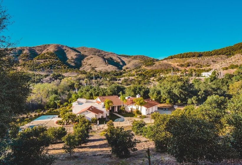 Grapevine By Avantstay Secluded 5br Villa 4 Acres Of Vineyards & Avo Groves!