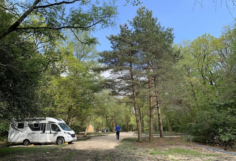فندق Nuthatch Cabin At Cloudshill Glade   Campsite