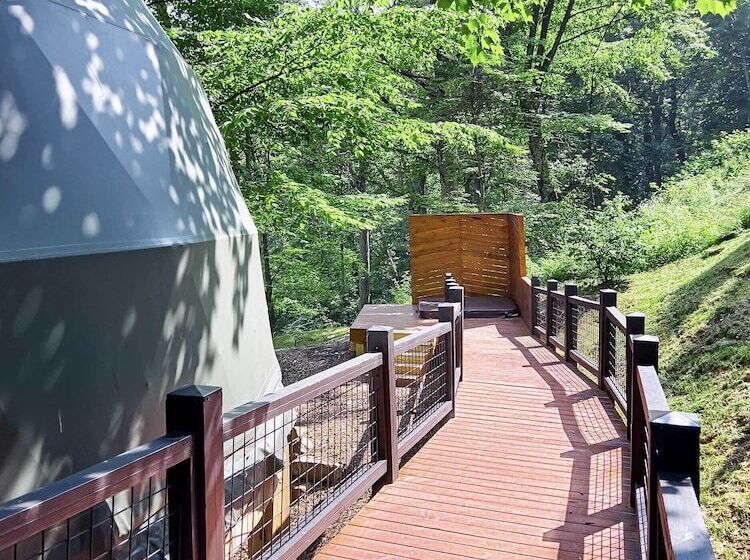 ホテル The Glamping Collective