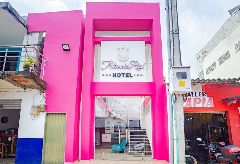 هتل Ayenda Alameda Real