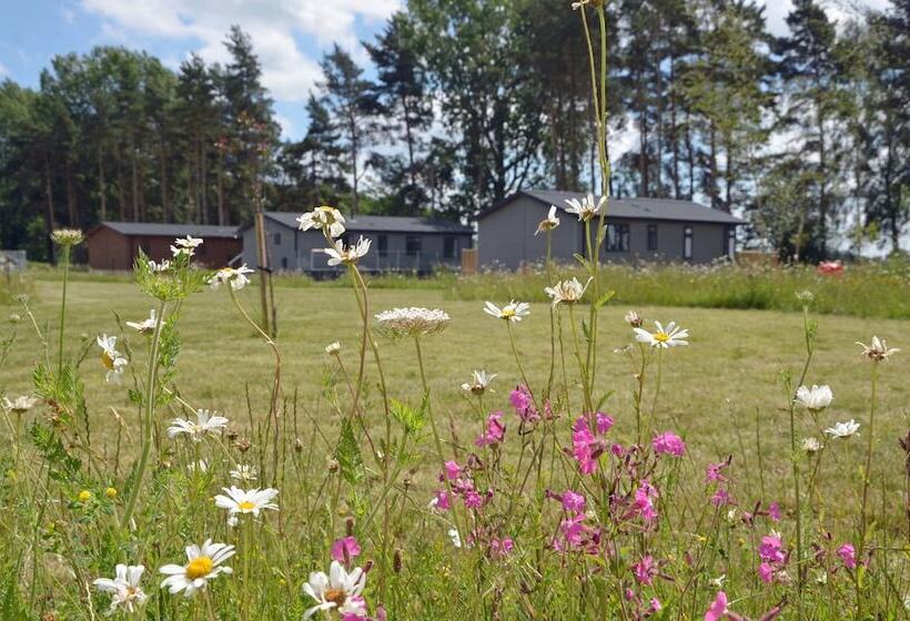 ホテル Hollicarrs Holiday Park   Hares Leap