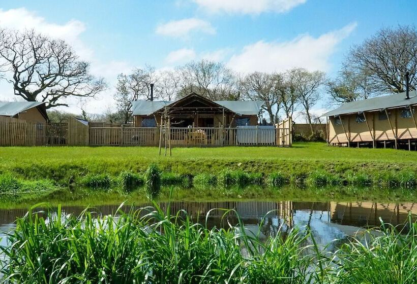 ホテル Jungle Book Safari Tent