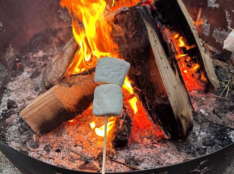 Raines Resort Cabins & Rv