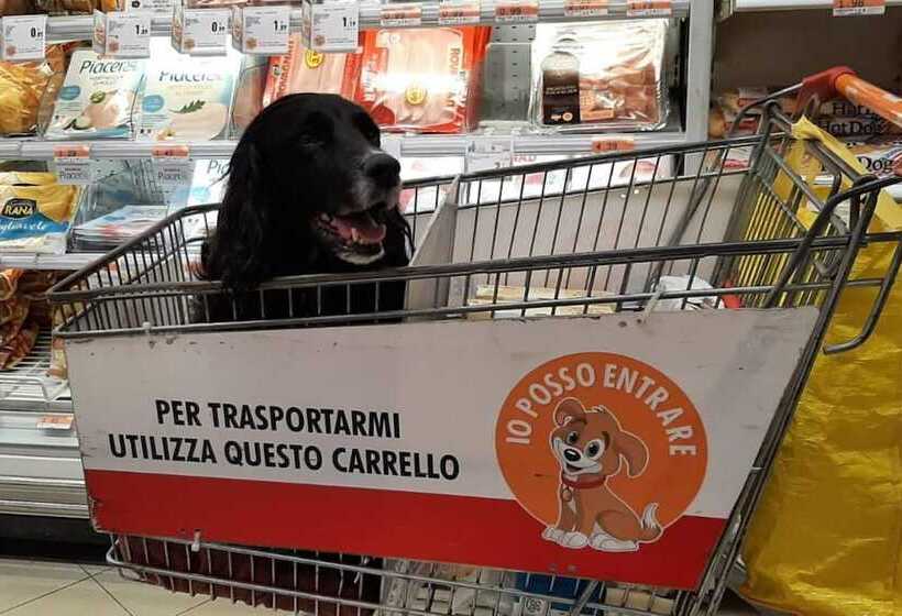 إقامة Beautiful 2 Bed House In Longoio, Bagni Di Lucca