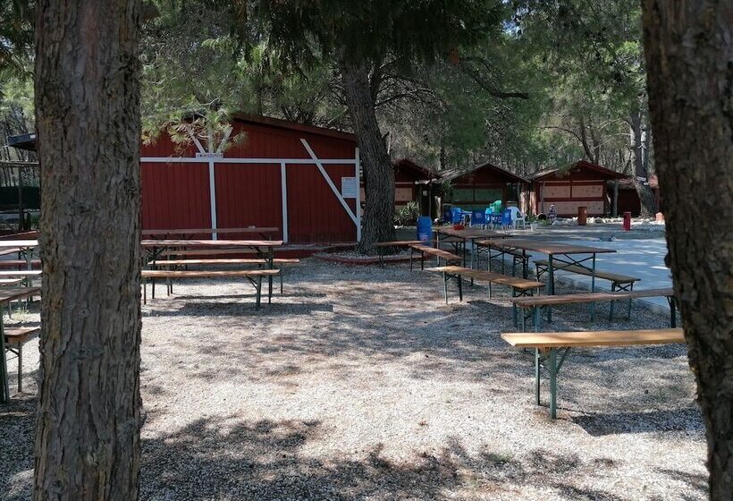 Курорт Camping Green Village Pin Tourist