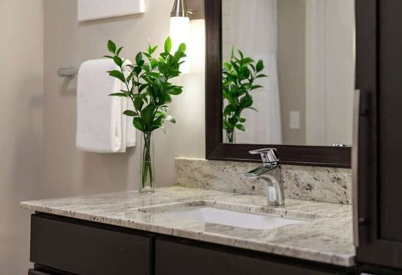 Stunning 2br 2ba W/sky Pool Lounge Cozysuites