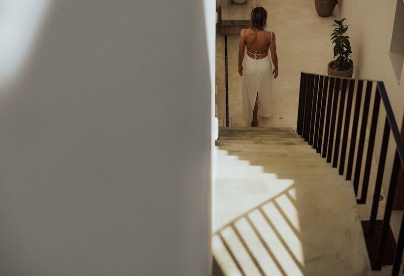 ホテル Amethyst Selene Paleros