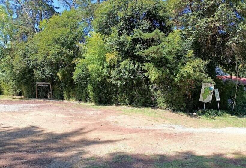 בית מלון כפרי Centro Ecoturistico Del Lago