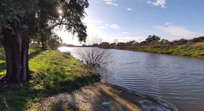 בית מלון כפרי El Toril Glamping Experience