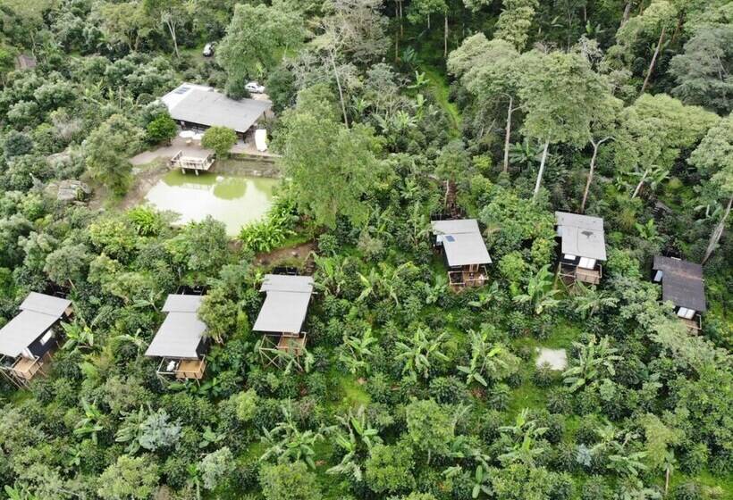 فندق La Palma Y El Tucan   Coffee & Nature