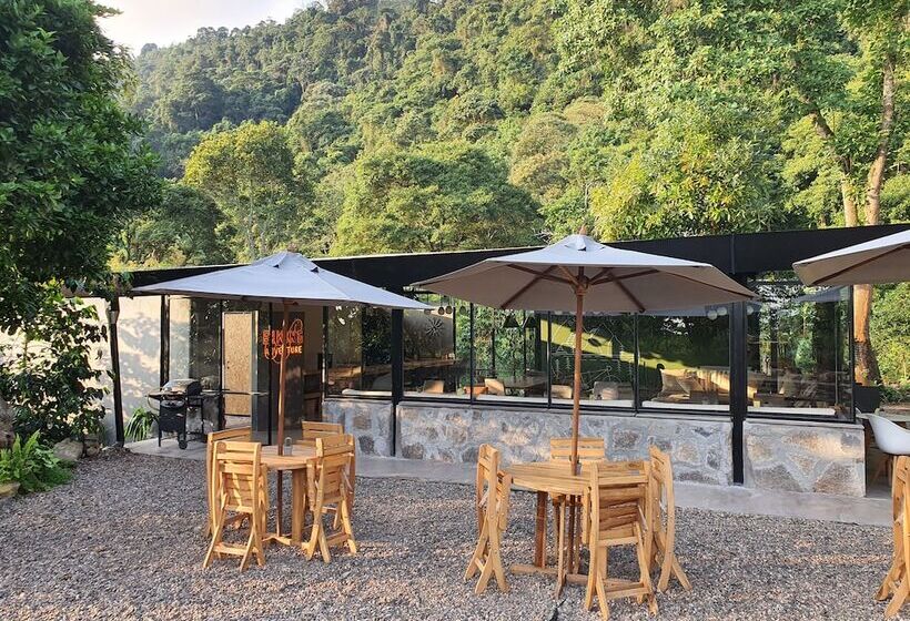 فندق La Palma Y El Tucan   Coffee & Nature