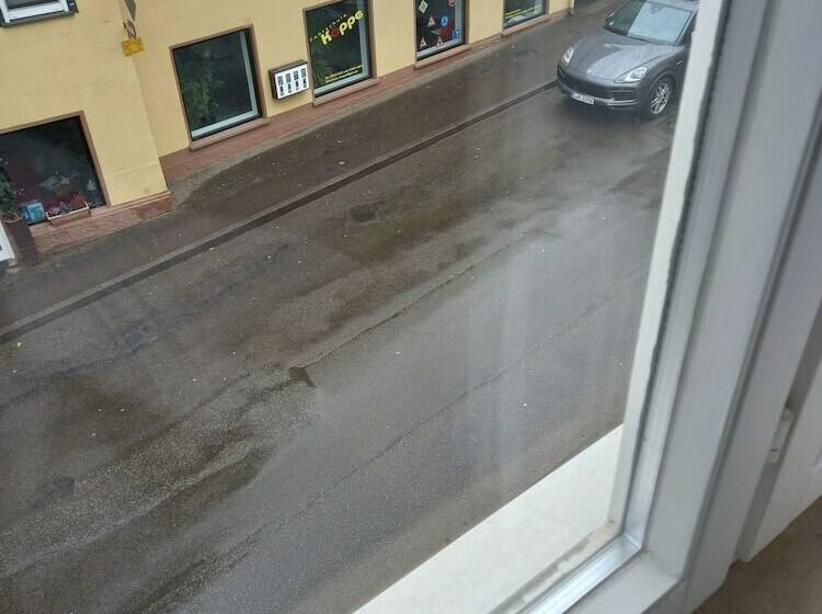 Пансион Gasthaus Adler Double Room With Private Bathroom And Garden View
