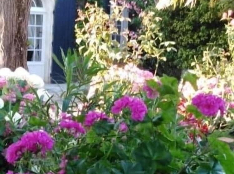 פנסיון Les Hortensias