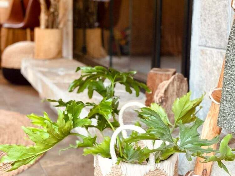 بنسيون Terra Vista Chalet